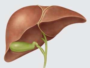 It’s National Liver Awareness Month: Do you love your liver?