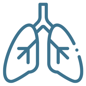 Icon of lungs.