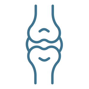 Icon of two bones connected by their joint.