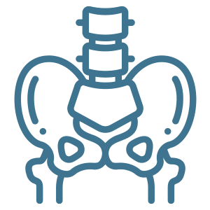 Icon of pelvic bones.