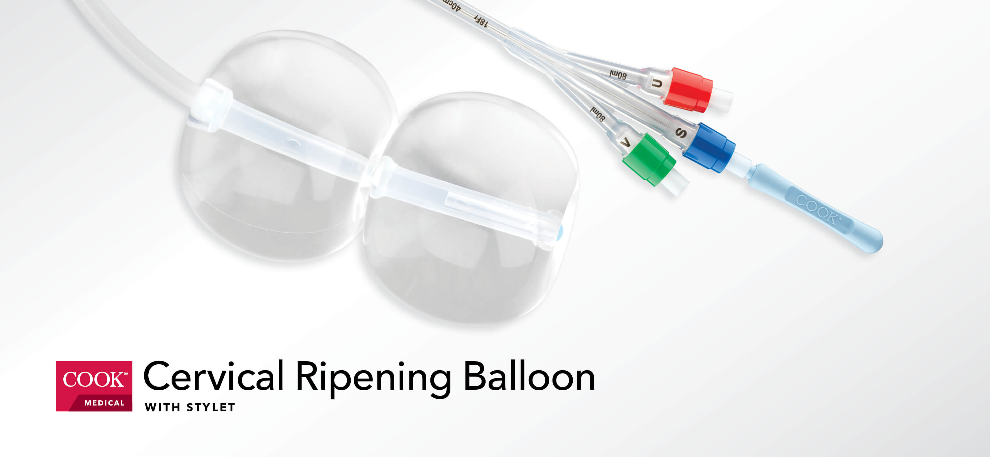 Cervical Ripening Balloon with Stylet image