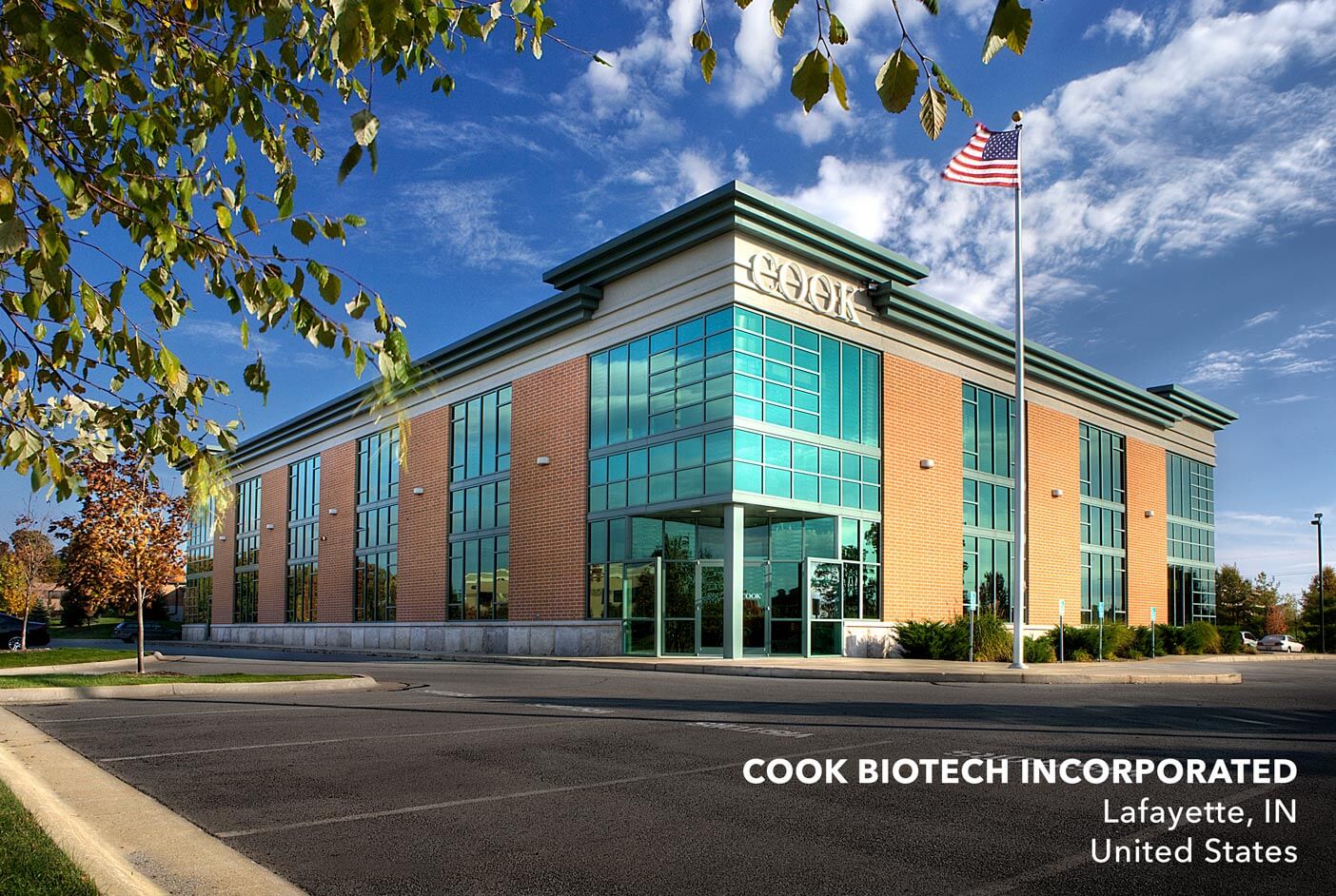 Urology Contracting Cook Medical