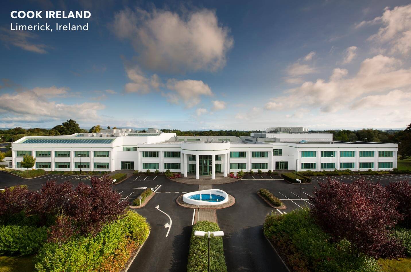 Urology Contracting Cook Medical