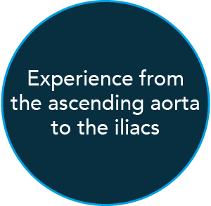 Experience from the ascending aorta to the iliacs