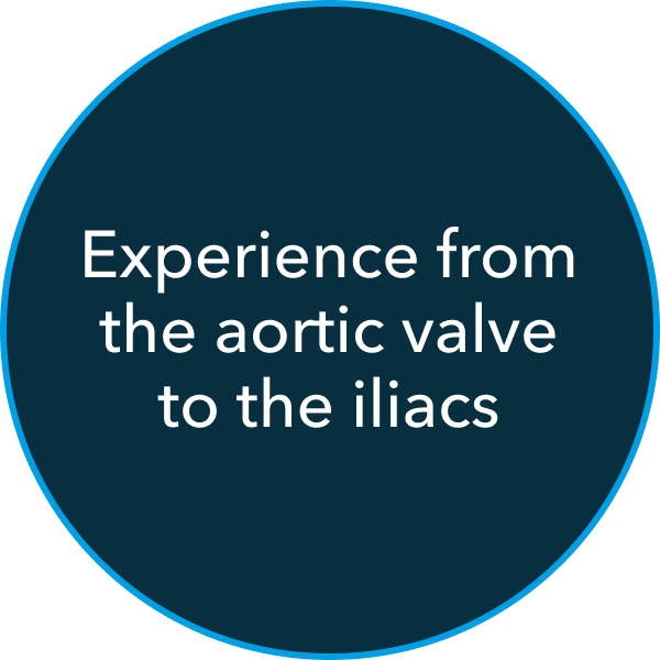 Experience from the aortic valve to the iliacs