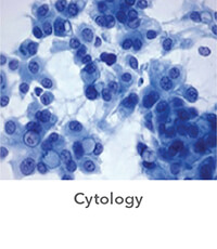 cytology-2